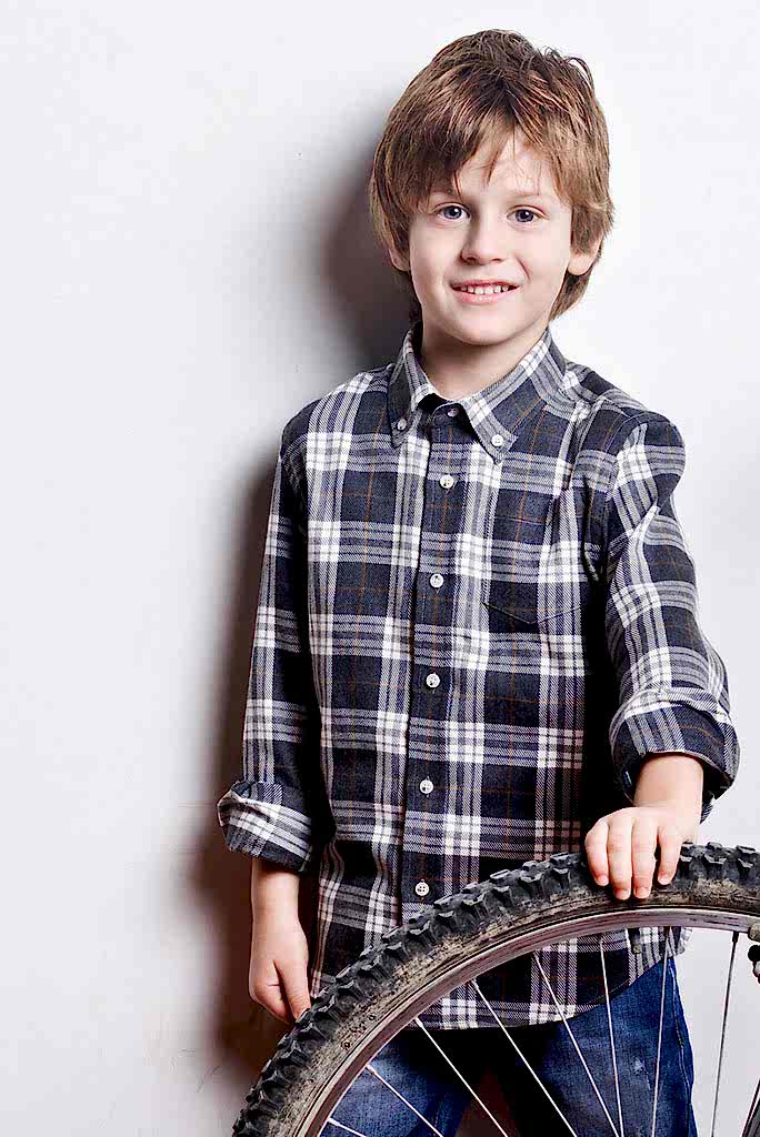 SP Page-builder image addons